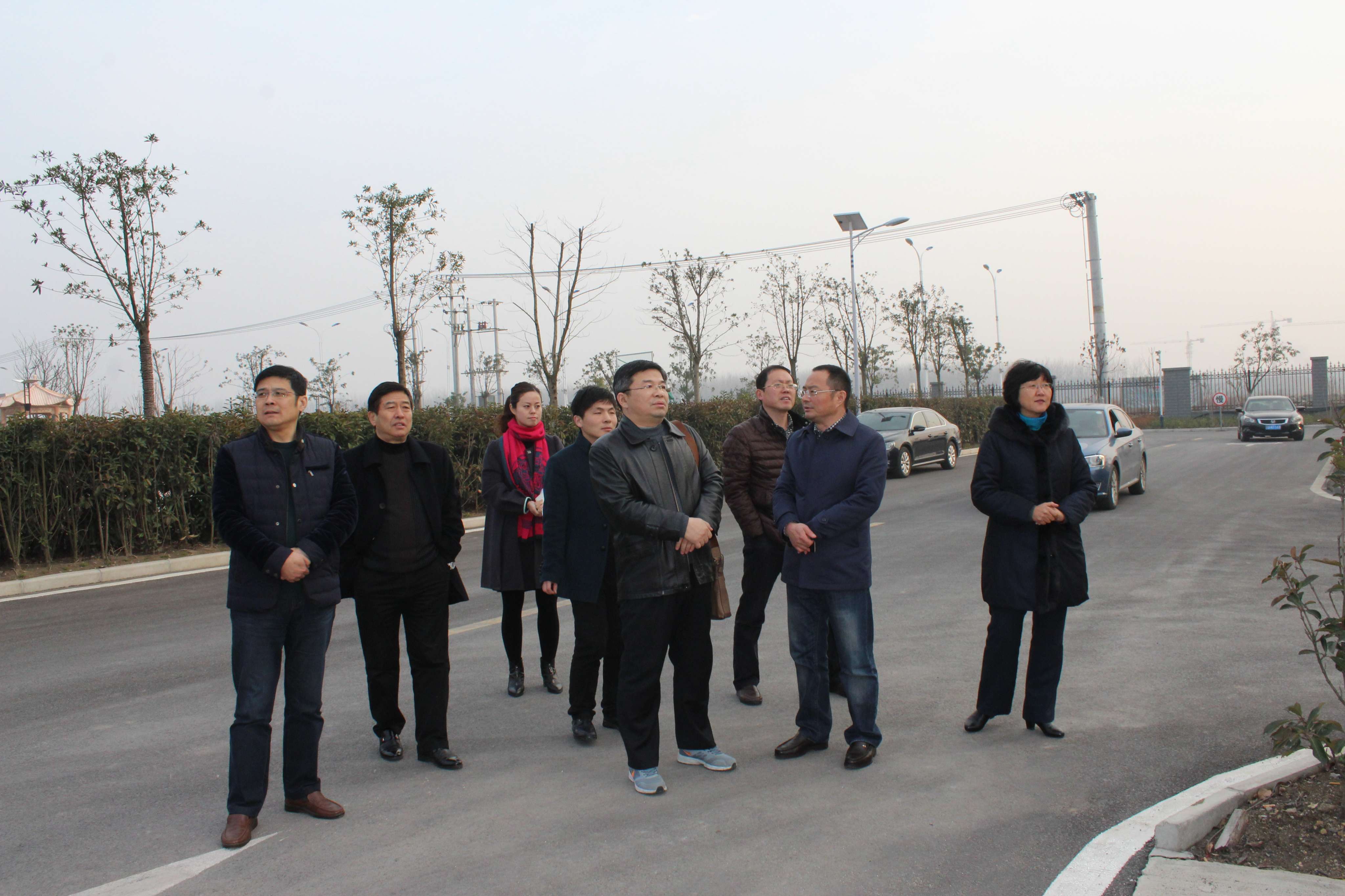 图片[7] - 橘生淮南,暗恋网盘资源【1080P无删减】完整中字资源已完结 - 影视资源论坛 - 文件资源 - 小轻秀场